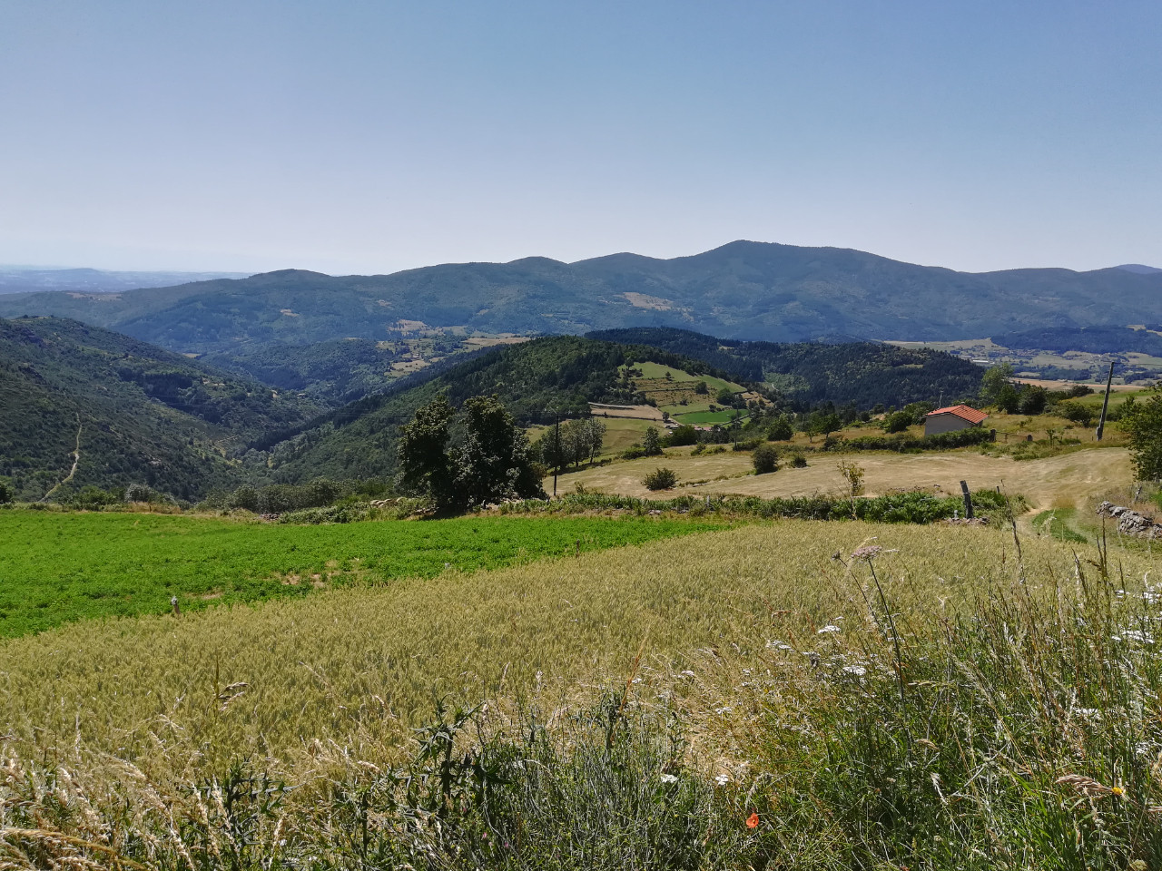 GreenGo Gîte Auvergne-Rhône-Alpes Évasion