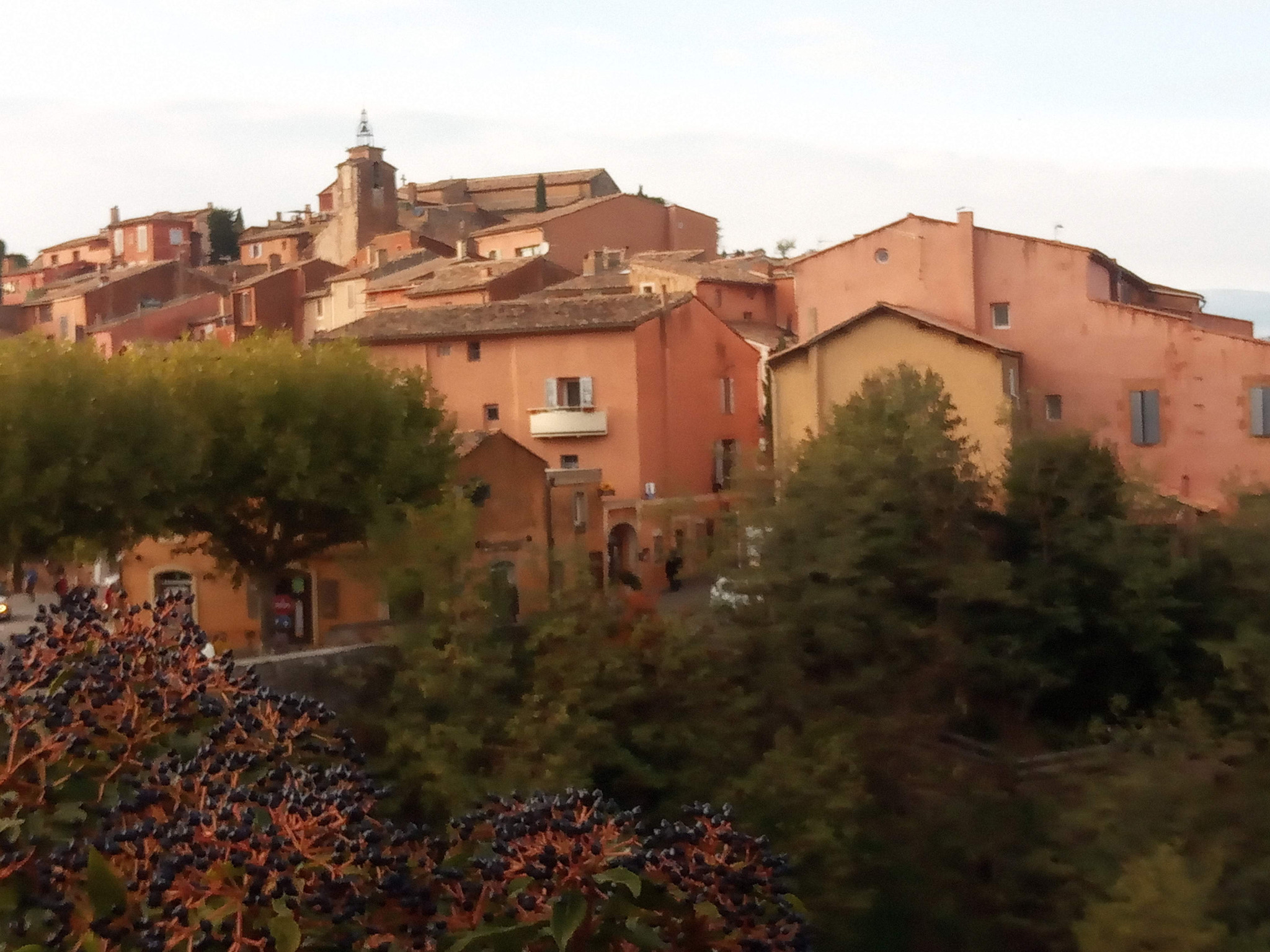 Vaucluse À la campagne