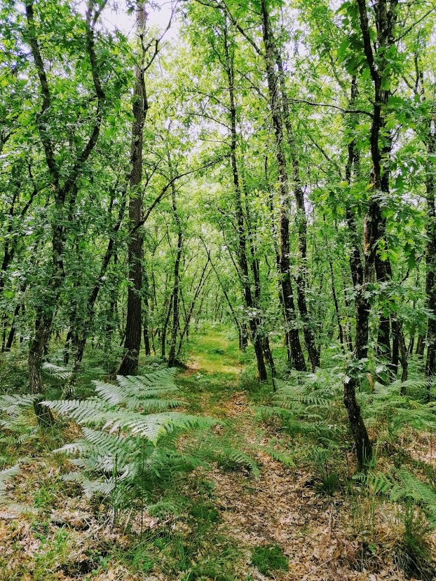 Logement insolite Dordogne À la campagne