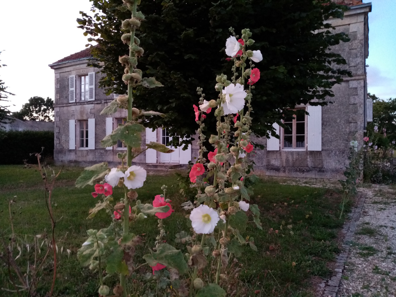 GreenGo Domaine des Deux Tilleuls