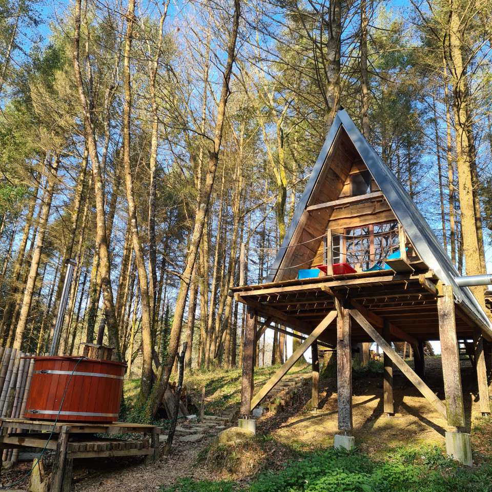 Cabane en forêt à Salies de Bearn