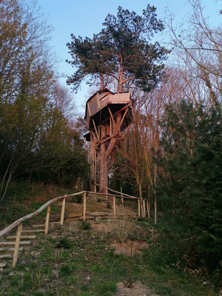 Hôte GreenGo: Sherwood Tree