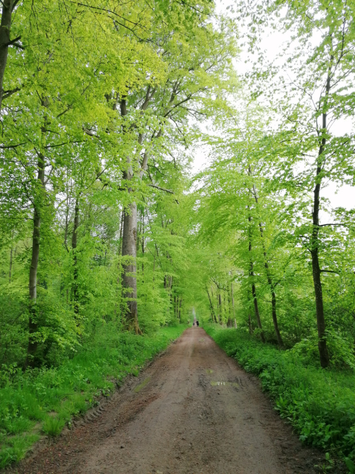 GreenGo location vacances écoresponsables