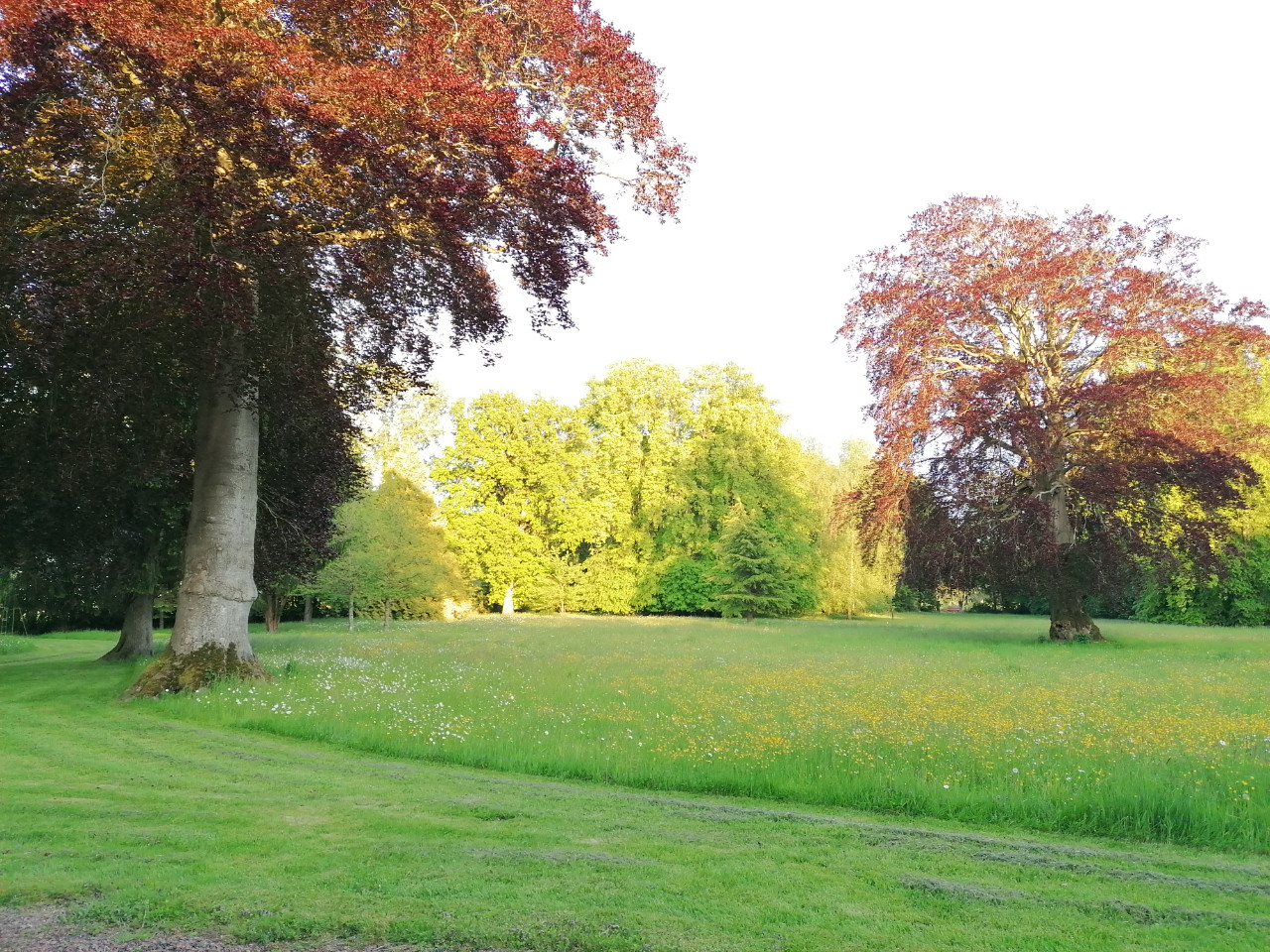 GreenGo Domaine d'Antigneul