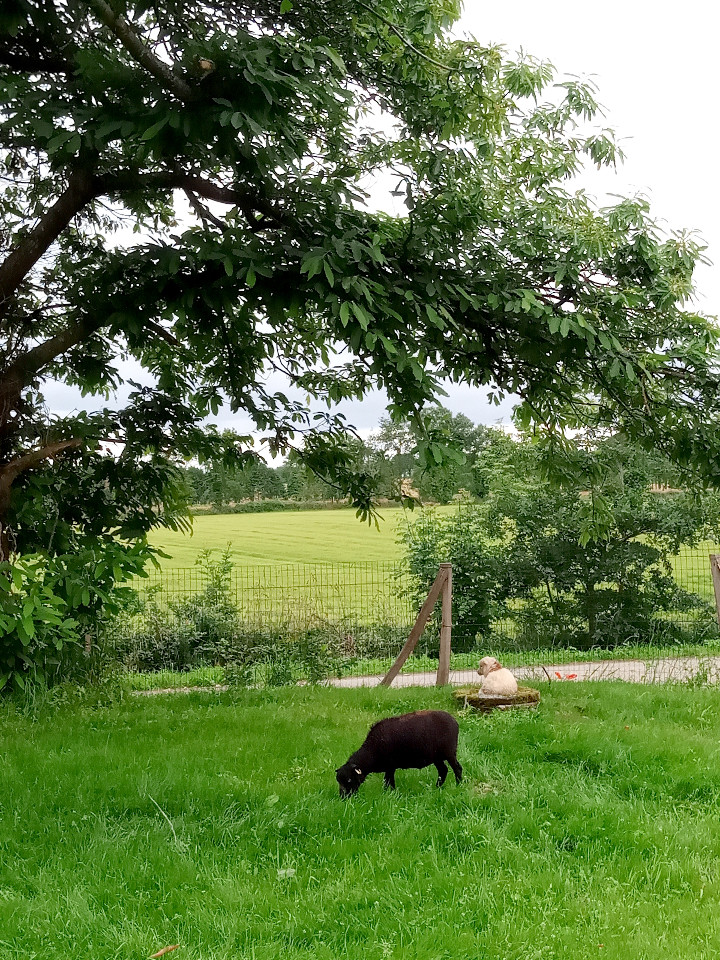 GreenGo Domaine du jardin mod kozh