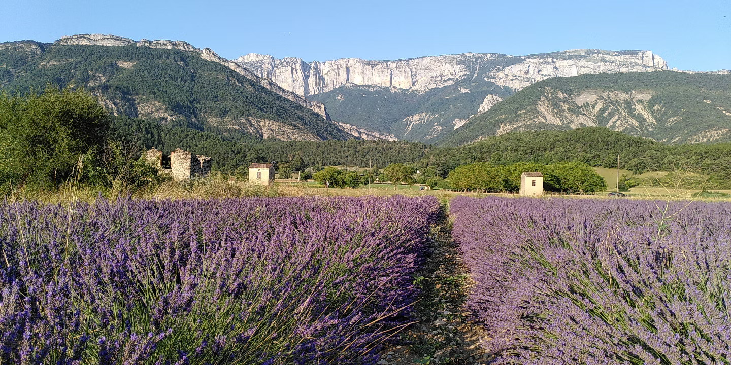 GreenGo Location Auvergne-Rhône-Alpes Évasion