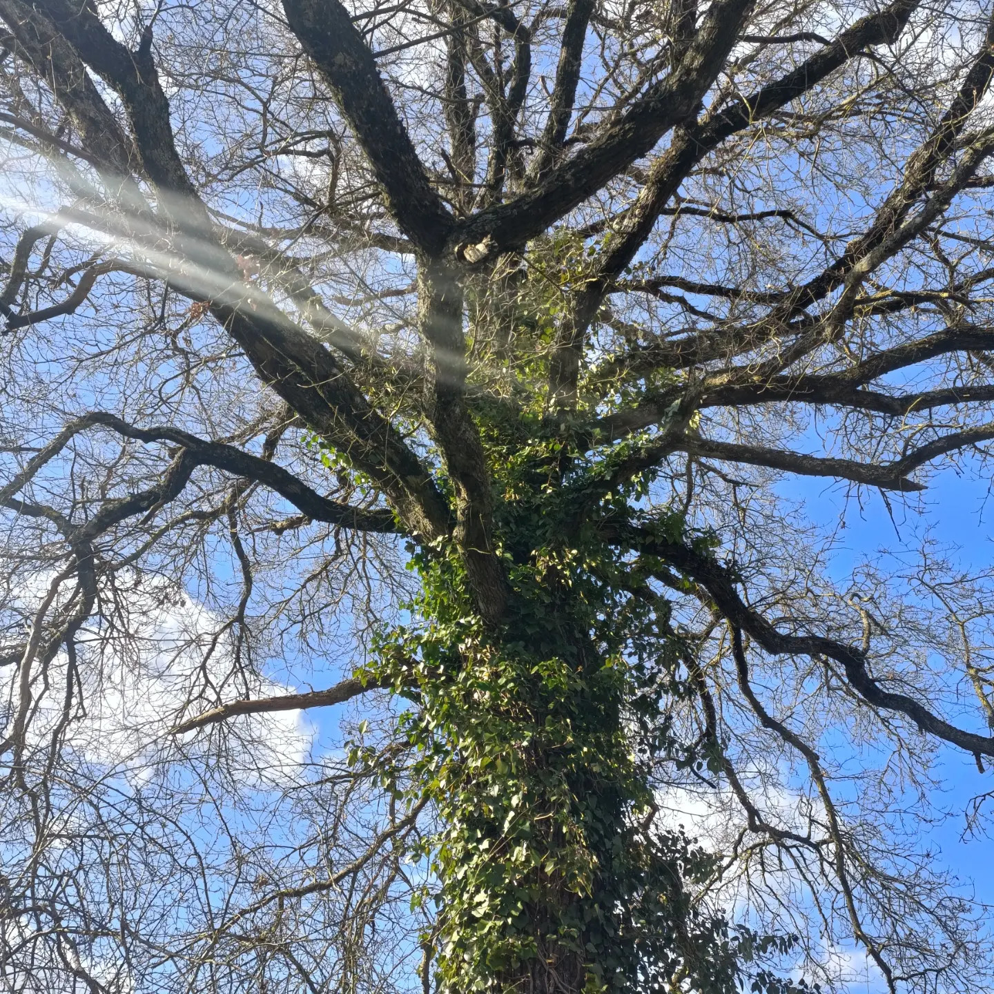 GreenGo Logement insolite Nouvelle-Aquitaine Évasion