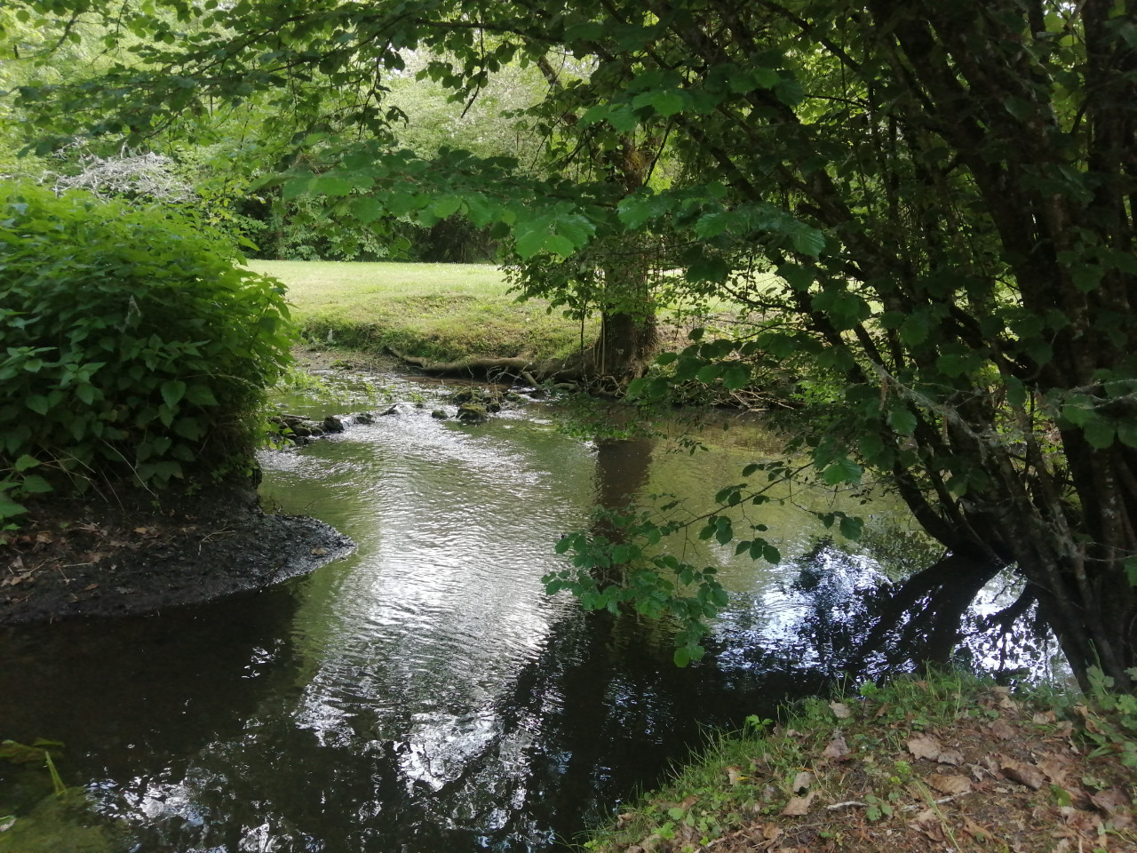 Sarthe À la campagne