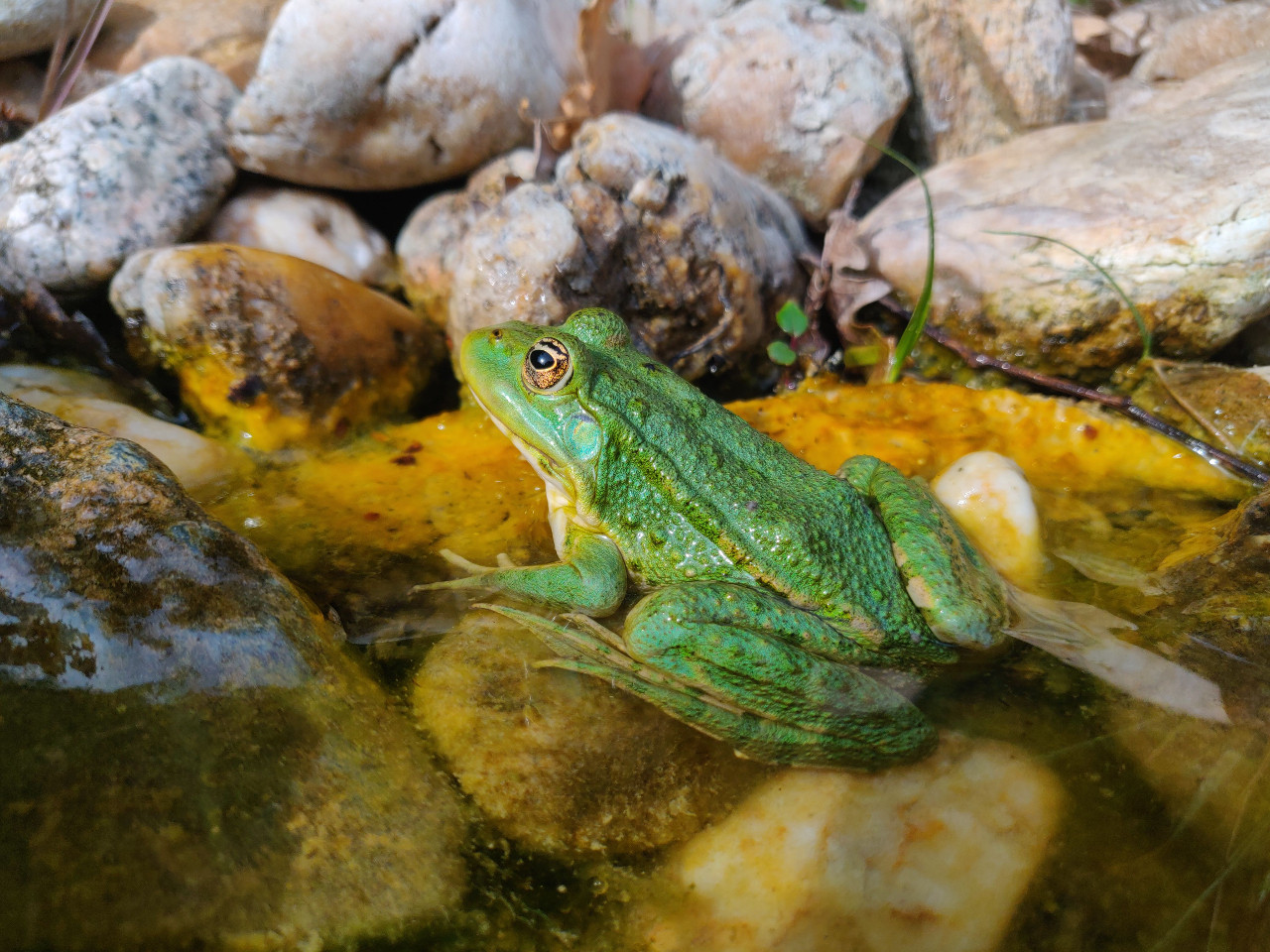 GreenGo location vacances écoresponsables