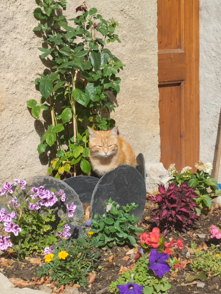 GreenGo Domaine du vieux tilleul - Meyrueis
