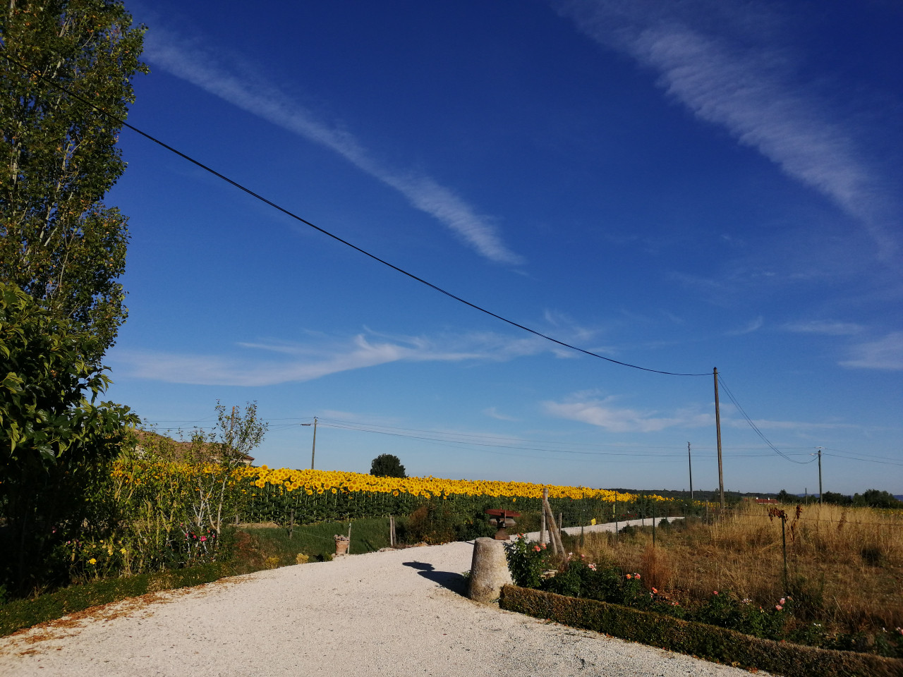 GreenGo Gîte Occitanie À la campagne