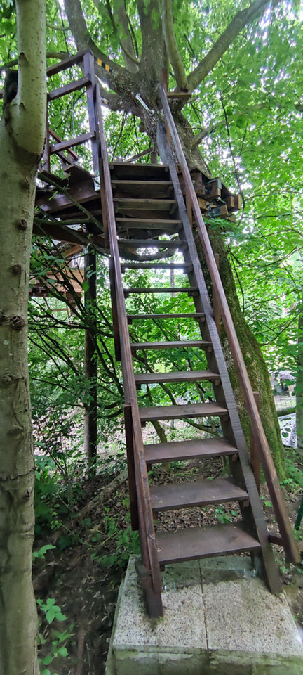 GreenGo location vacances écoresponsables