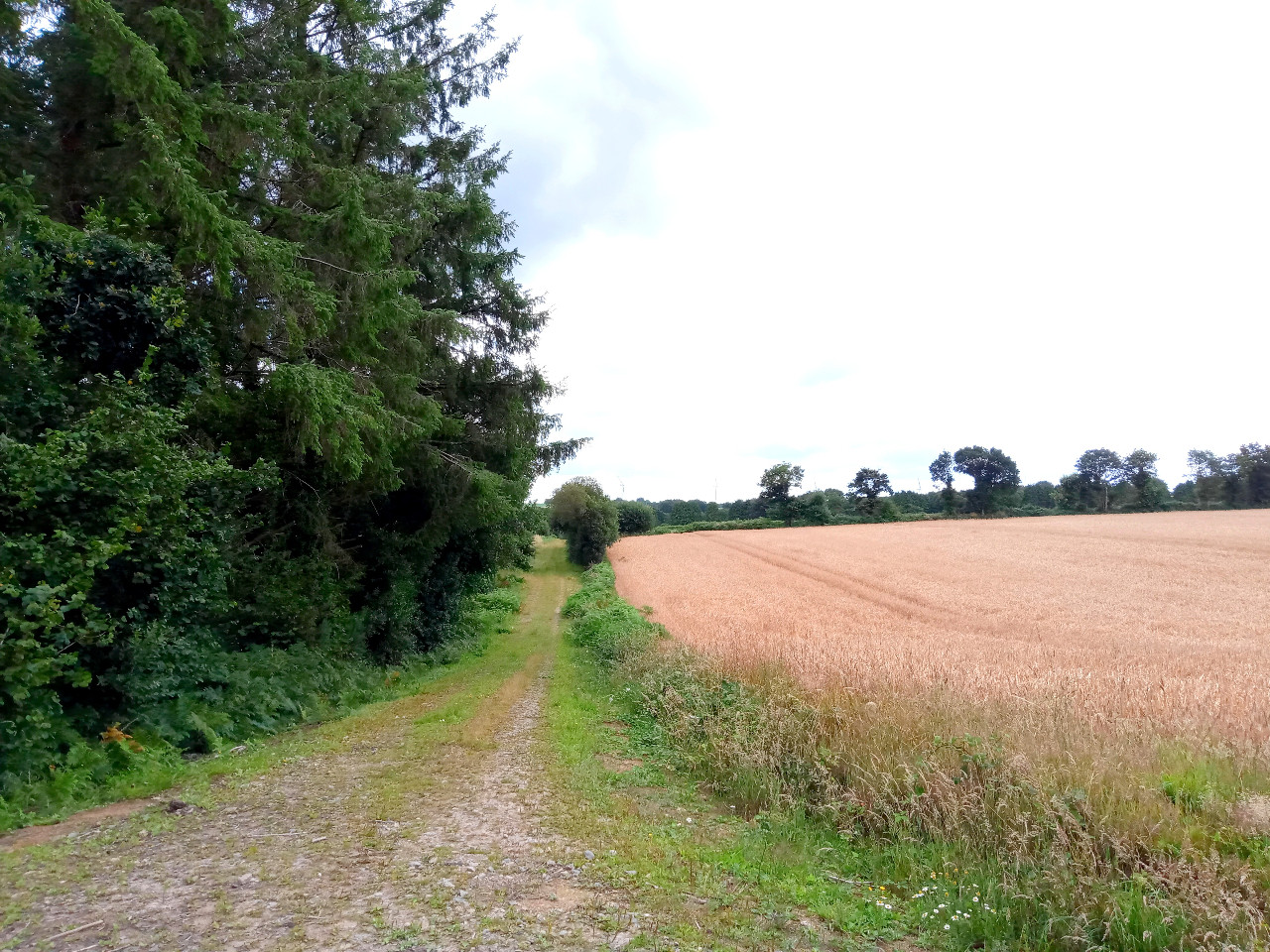 GreenGo Gîte Bretagne À la campagne