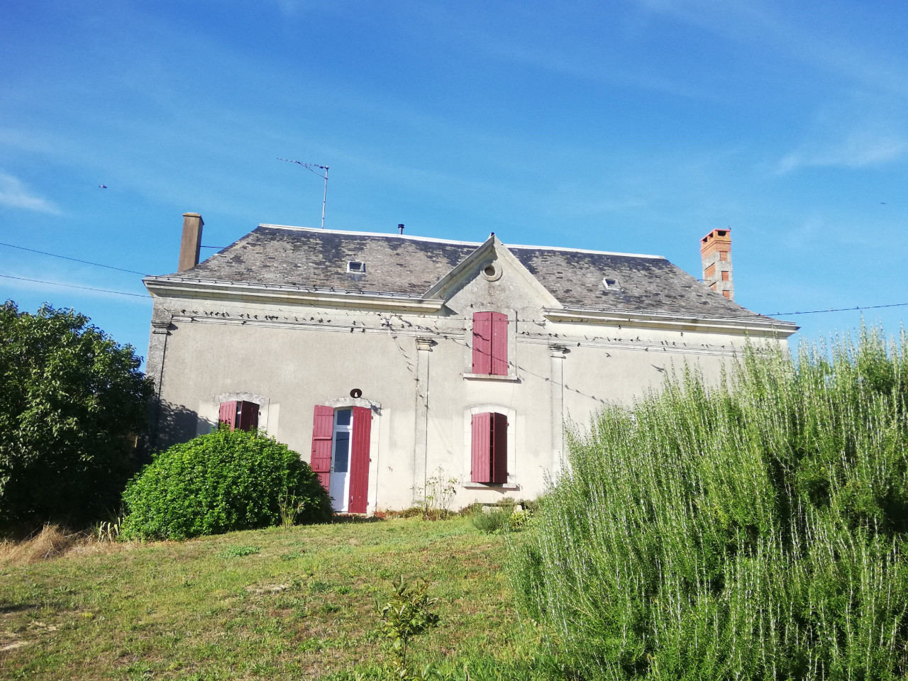 GreenGo Douceur angevine