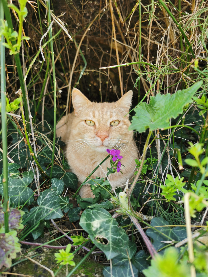 Chambre chez l’habitant Ardèche À la campagne