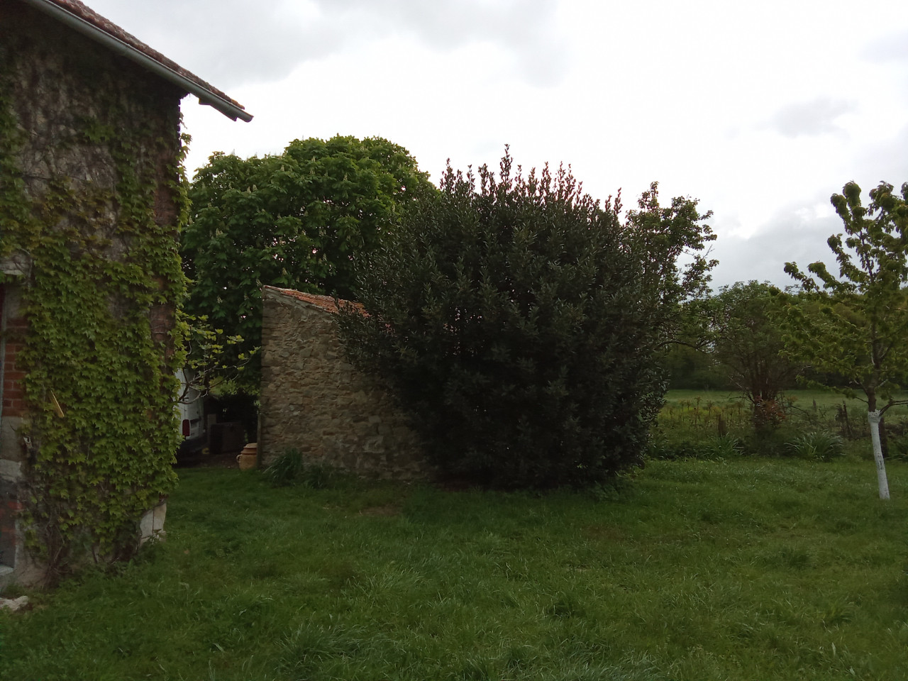 GreenGo Chambres d'hôtes les Cabris