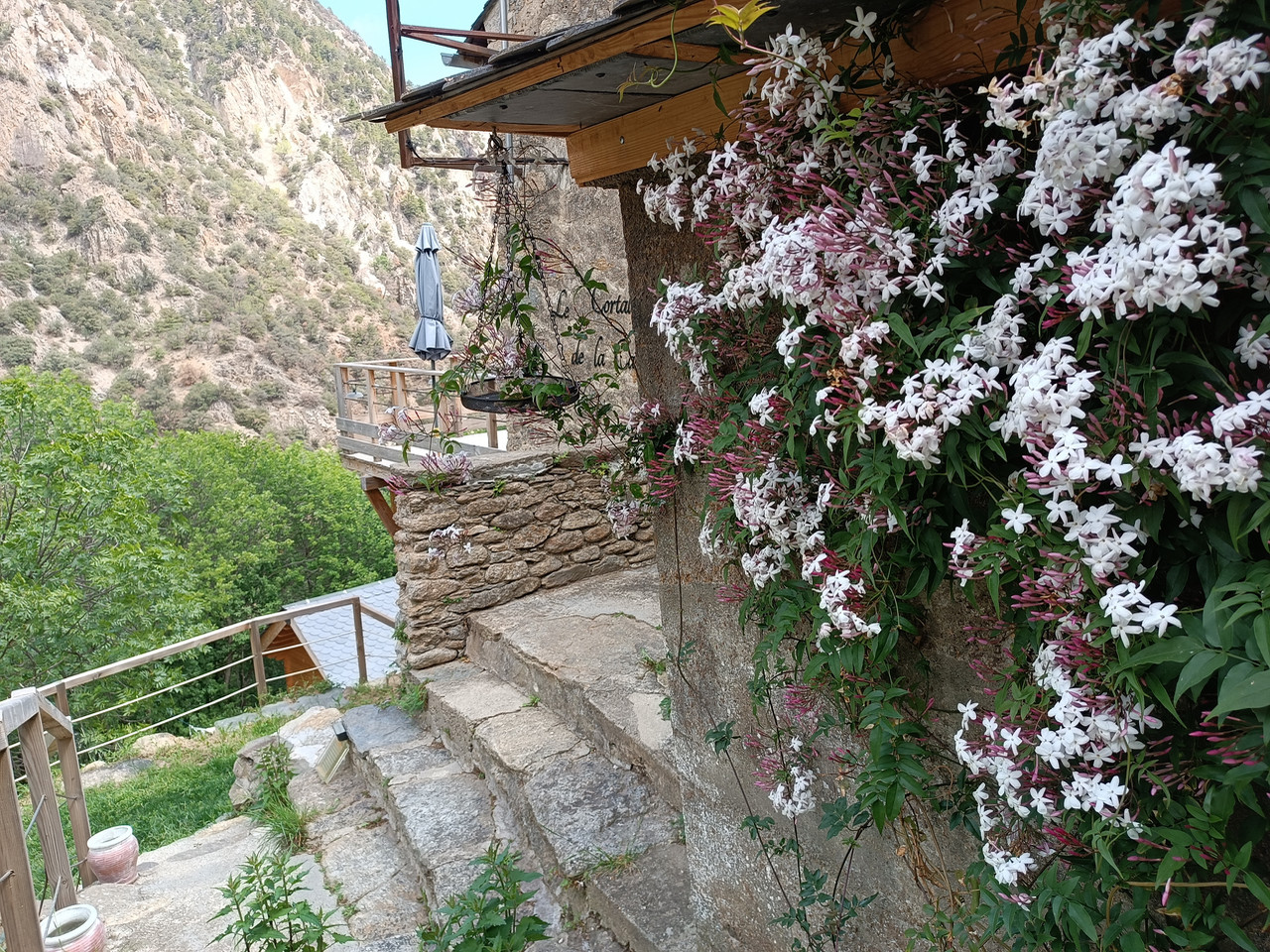 Location Pyrénées-Orientales En forêt