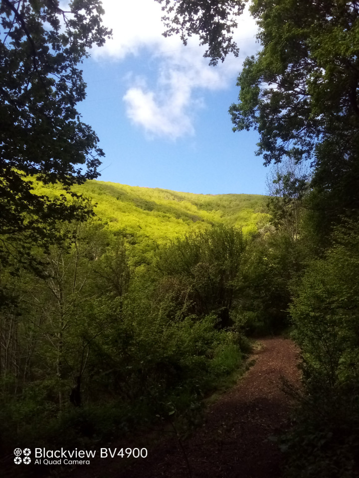GreenGo location vacances écoresponsables