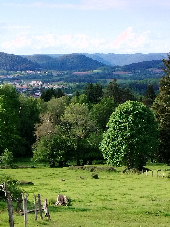 Location Vosges En forêt