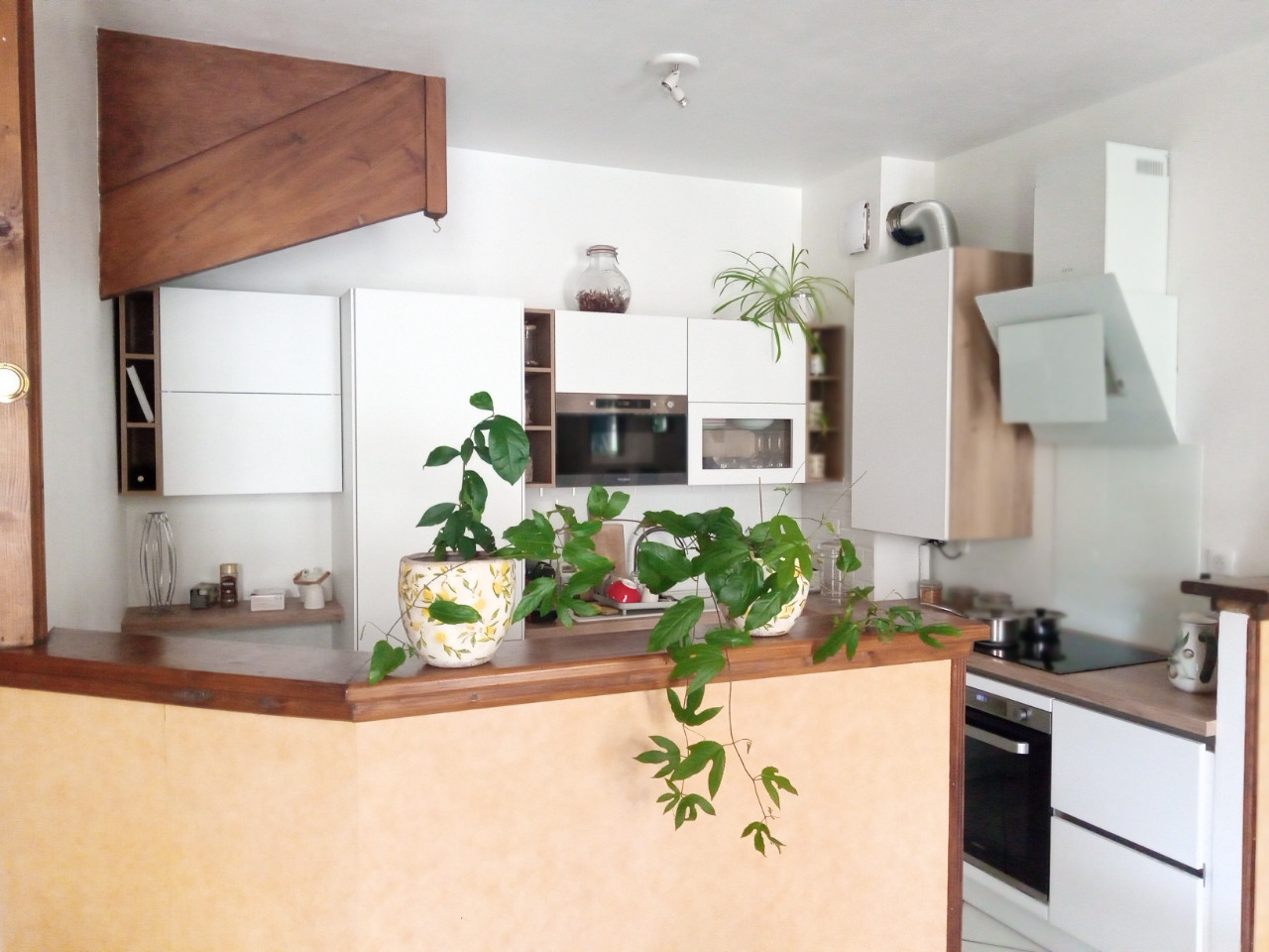 GreenGo location vacances écoresponsables