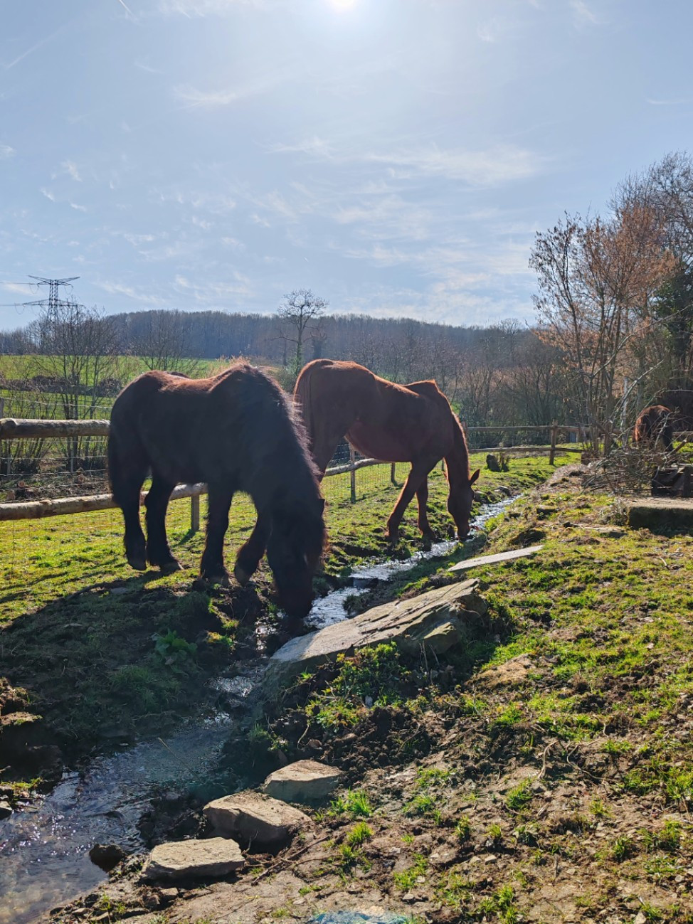 Logement insolite Manche Glamping