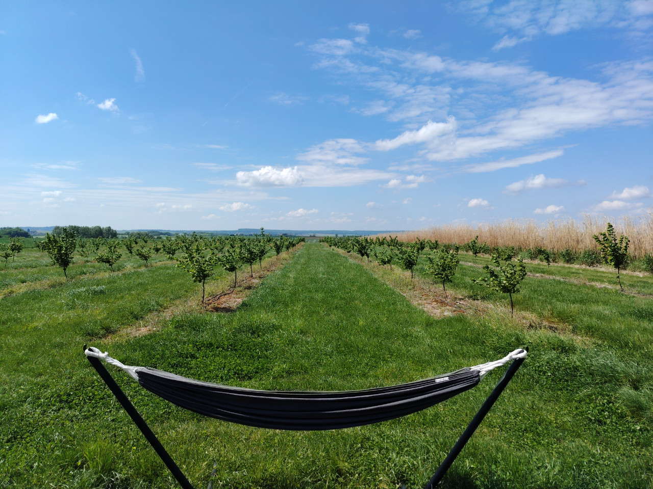 GreenGo location vacances écoresponsables