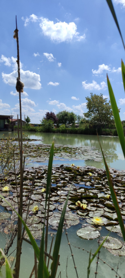 GreenGo Les lodges de Blois Chambord