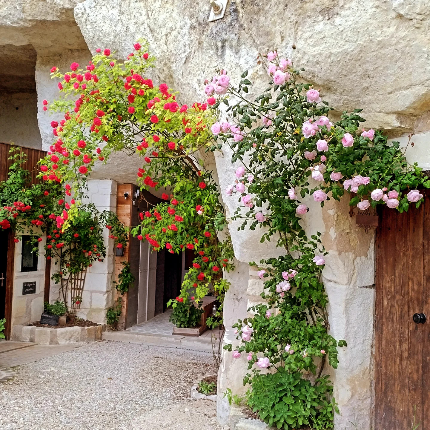Logement insolite Indre-et-Loire Entre amis