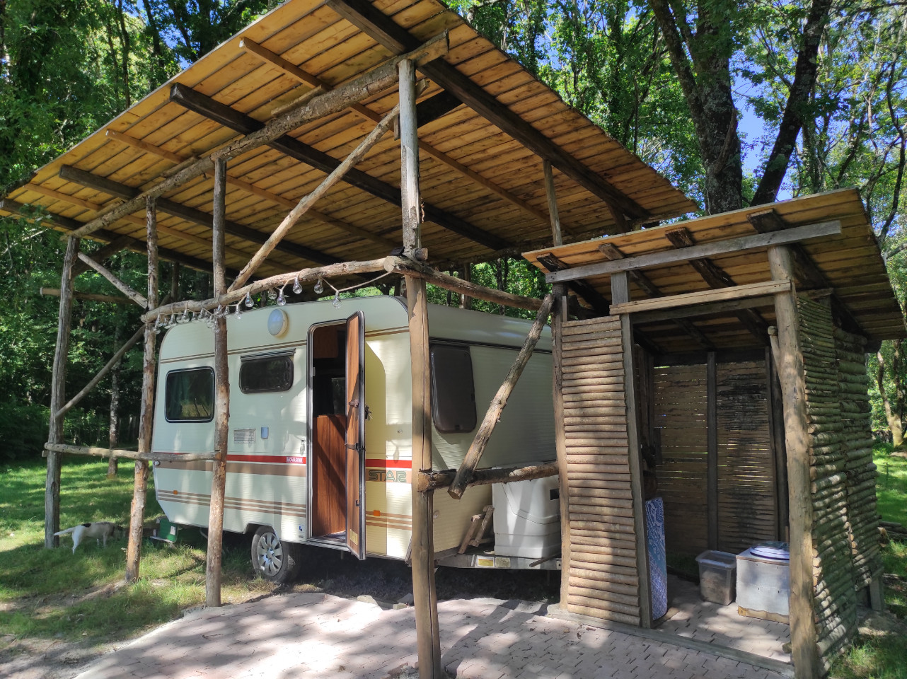 Caravane cosy dans les bois