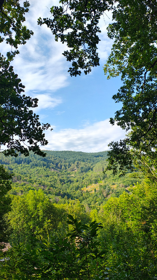 Chambre d’hôtes Ardèche Musique