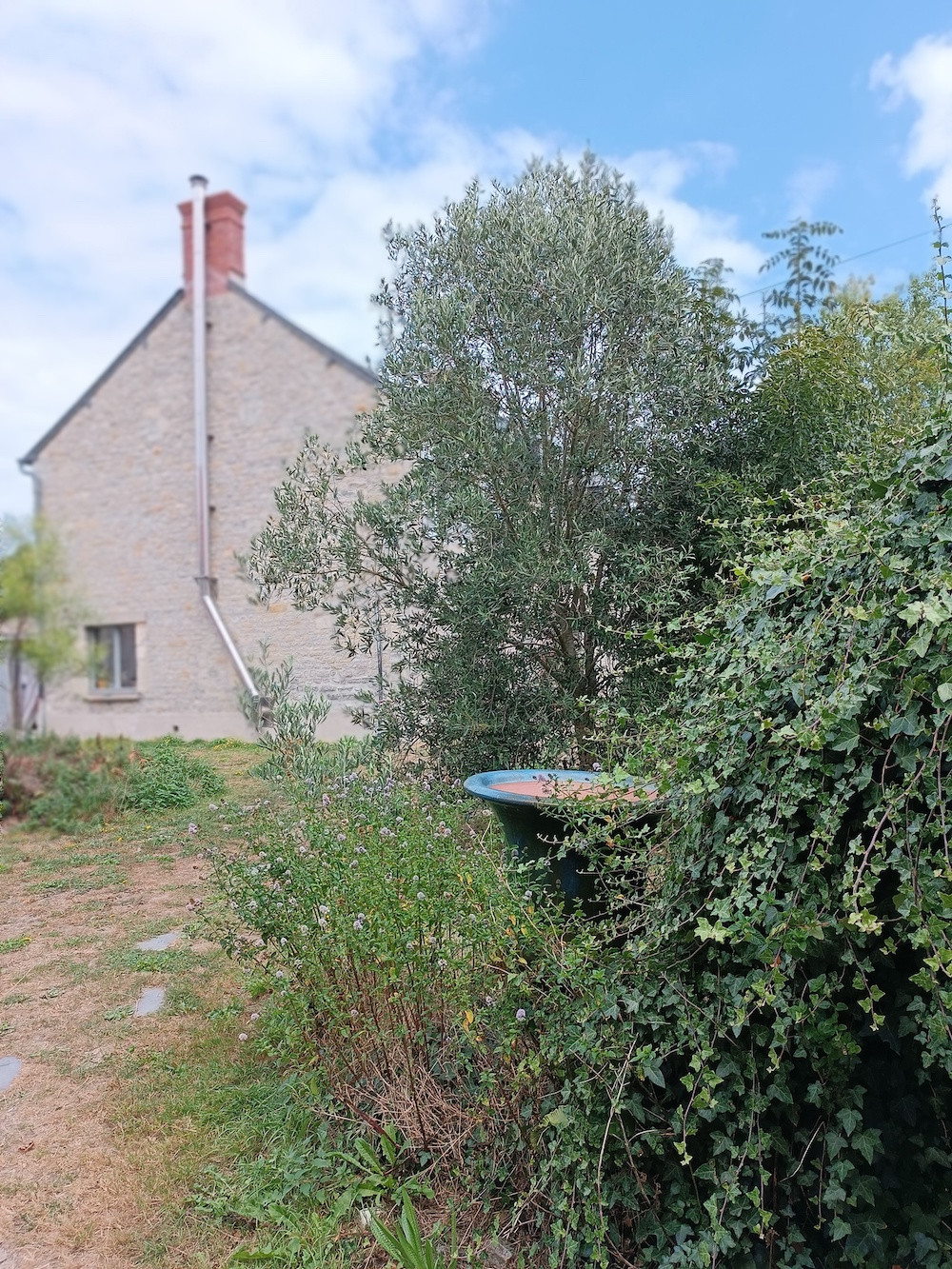 GreenGo location vacances écoresponsables