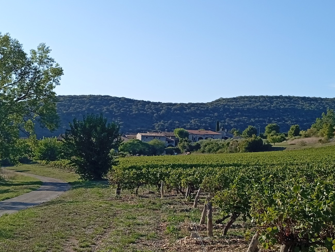 Ardèche Rustique