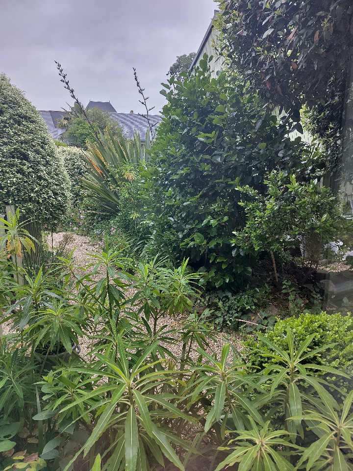 GreenGo Ariane la Pensée