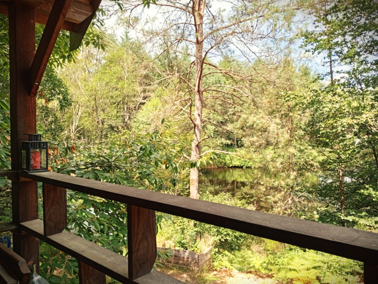GreenGo location vacances écoresponsables