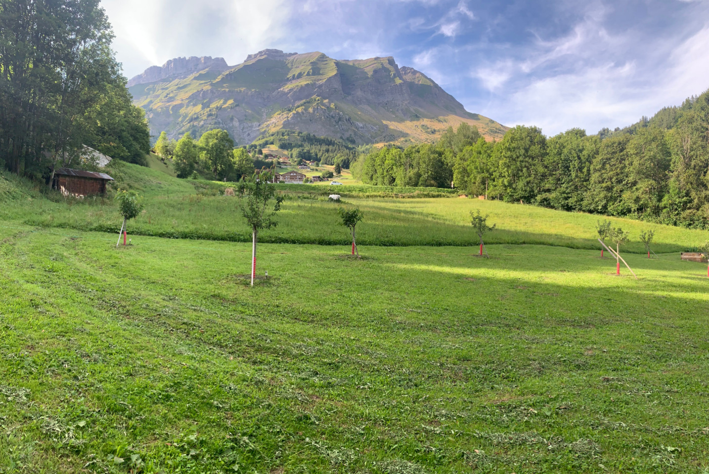 Location Savoie En forêt
