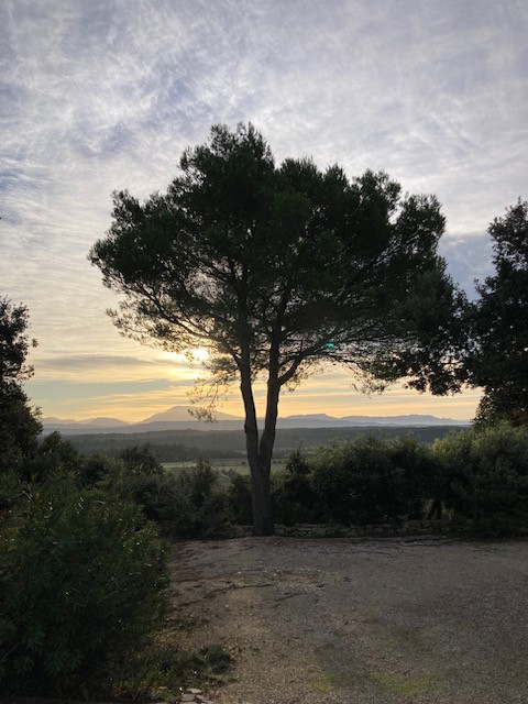 GreenGo location vacances écoresponsables