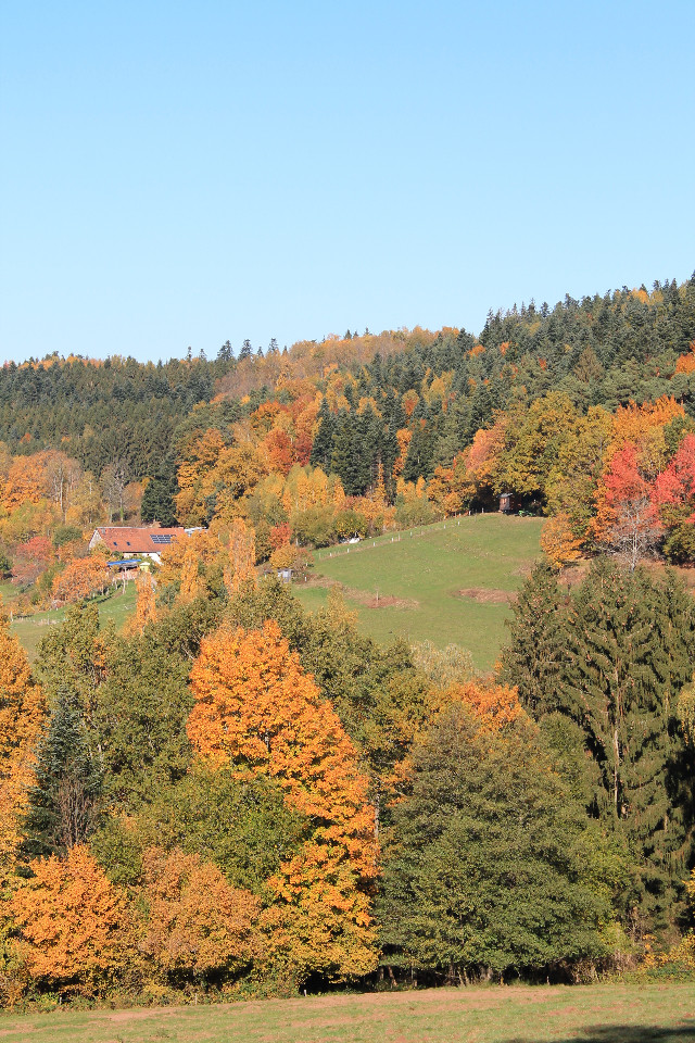 Hôte GreenGo: Ferme Rougifaing