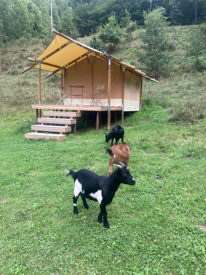 GreenGo location vacances écoresponsables