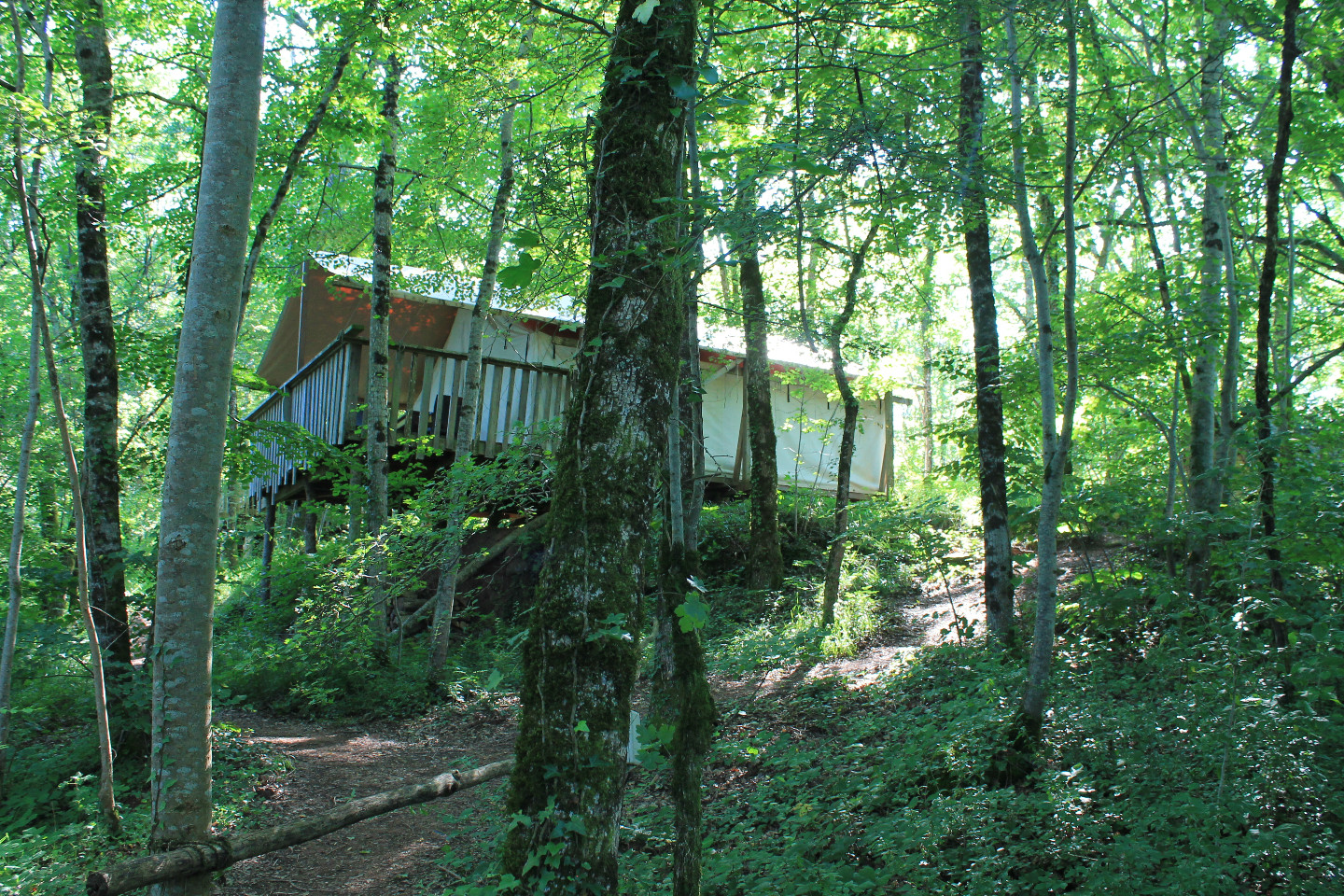 GreenGo Logement insolite Occitanie Glamping