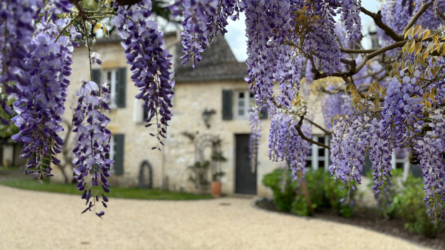 GreenGo Domaine des monges