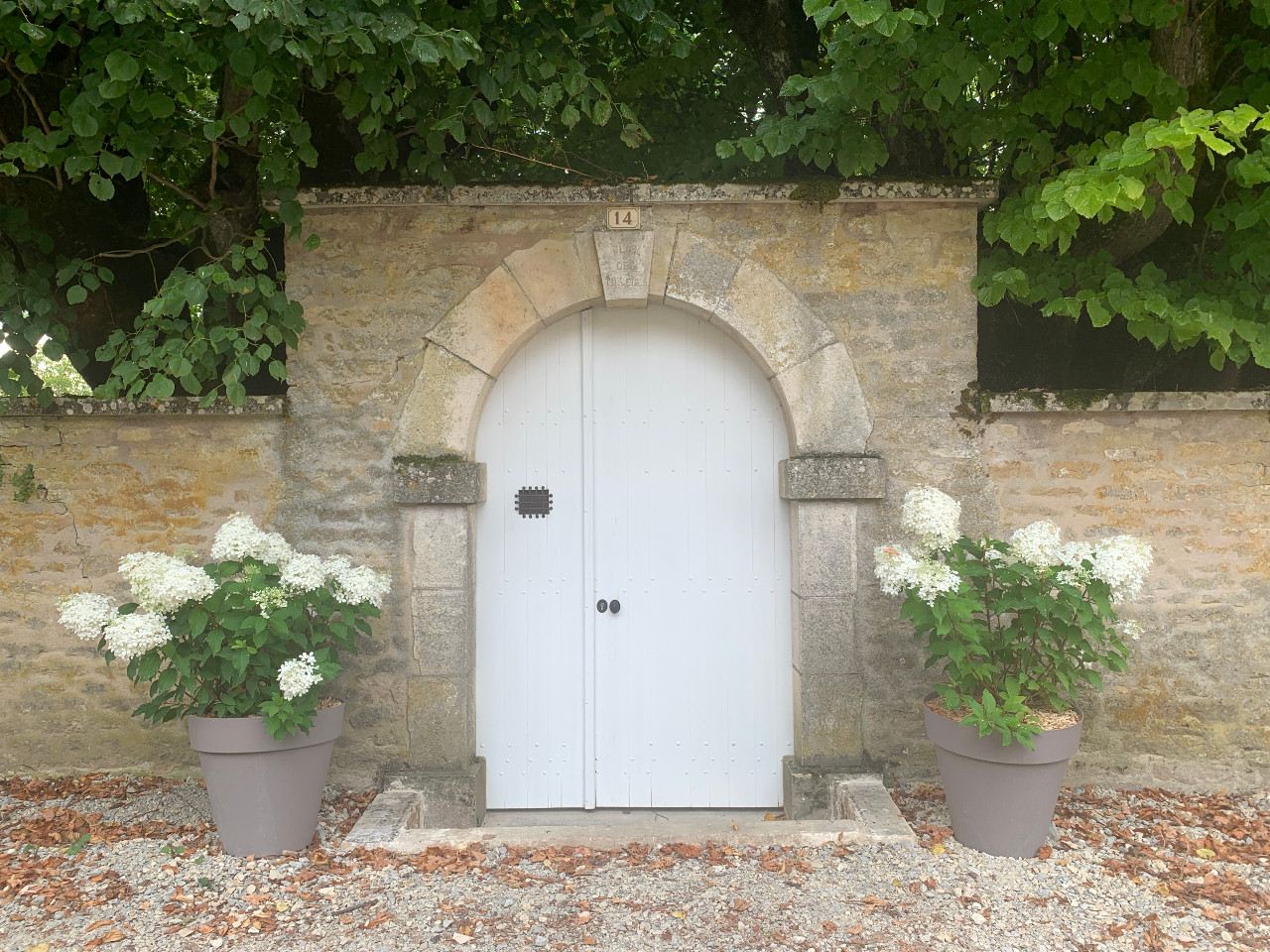 Clos des Tilleuls - Vezelay
