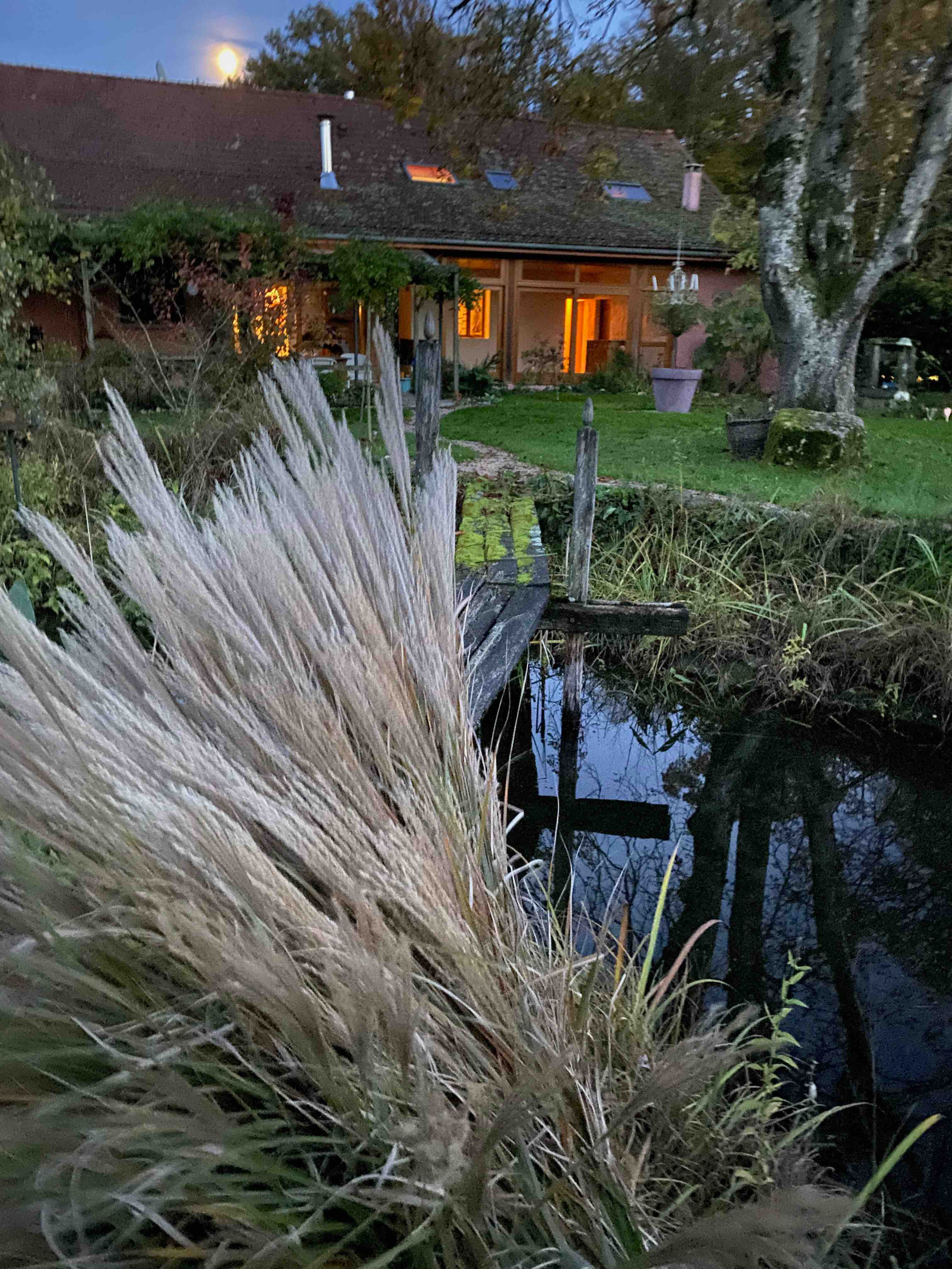 GreenGo Maison Libellule
