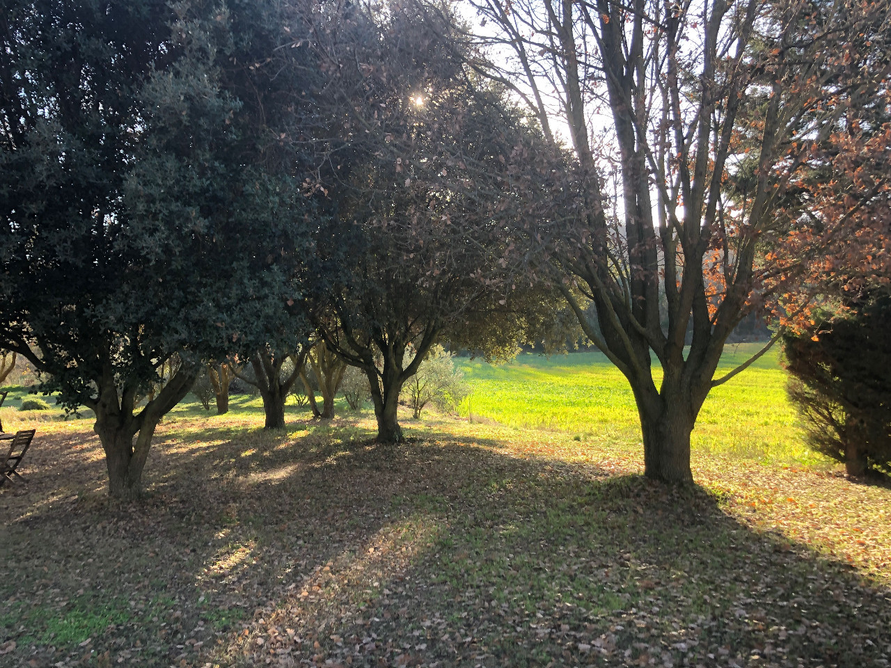 Location Alpes-de-Haute-Provence Rustique