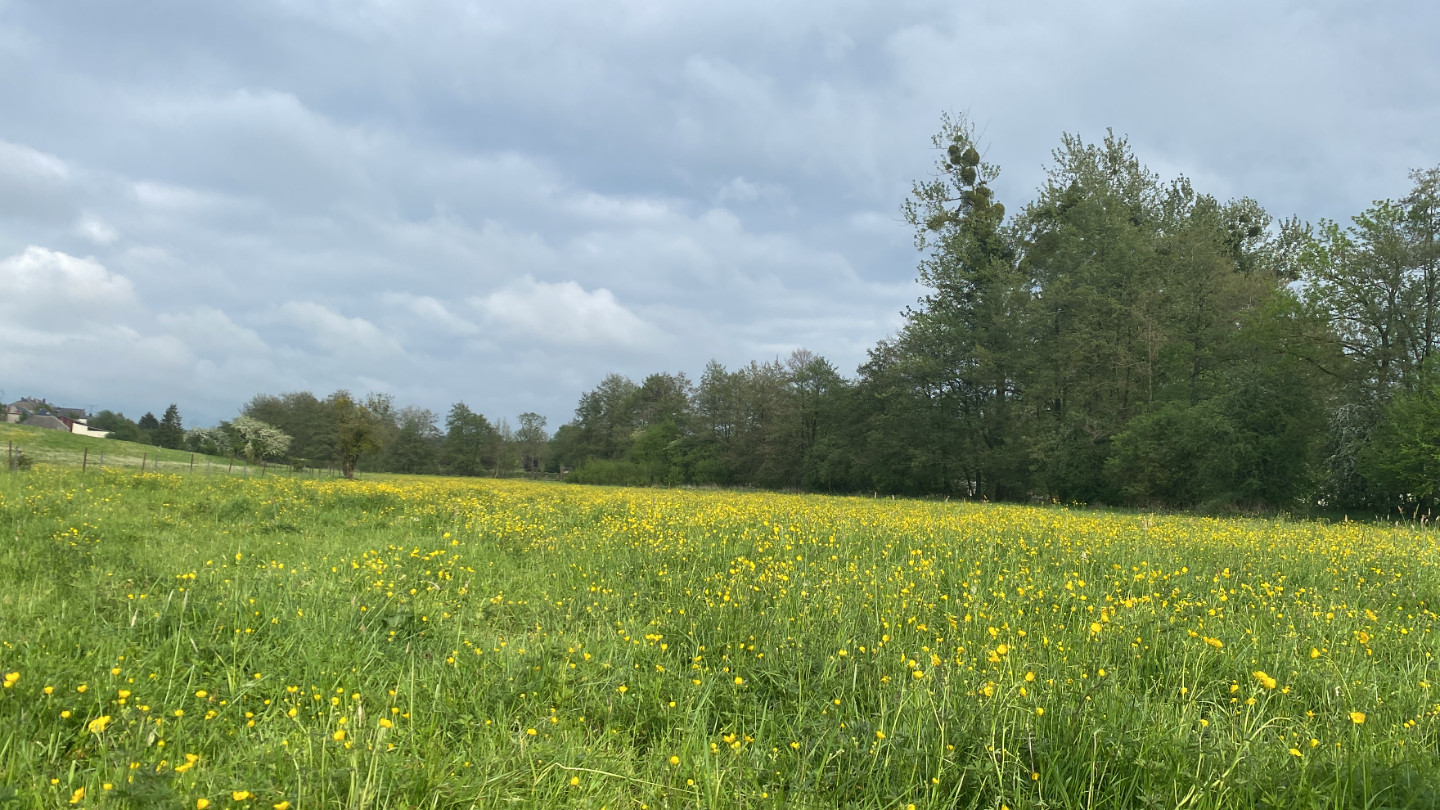 Logement insolite Ardennes À la campagne