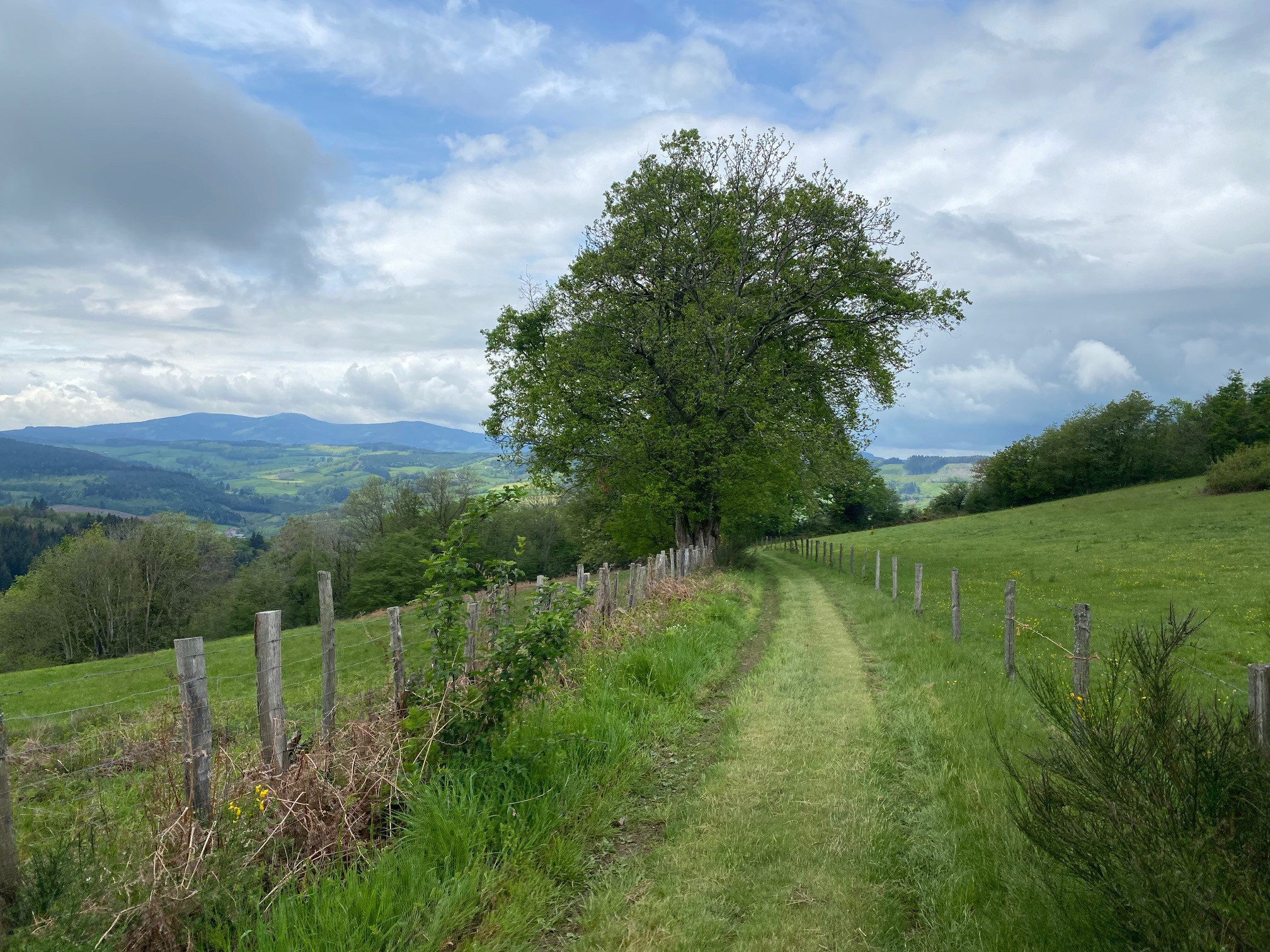 GreenGo location vacances écoresponsables