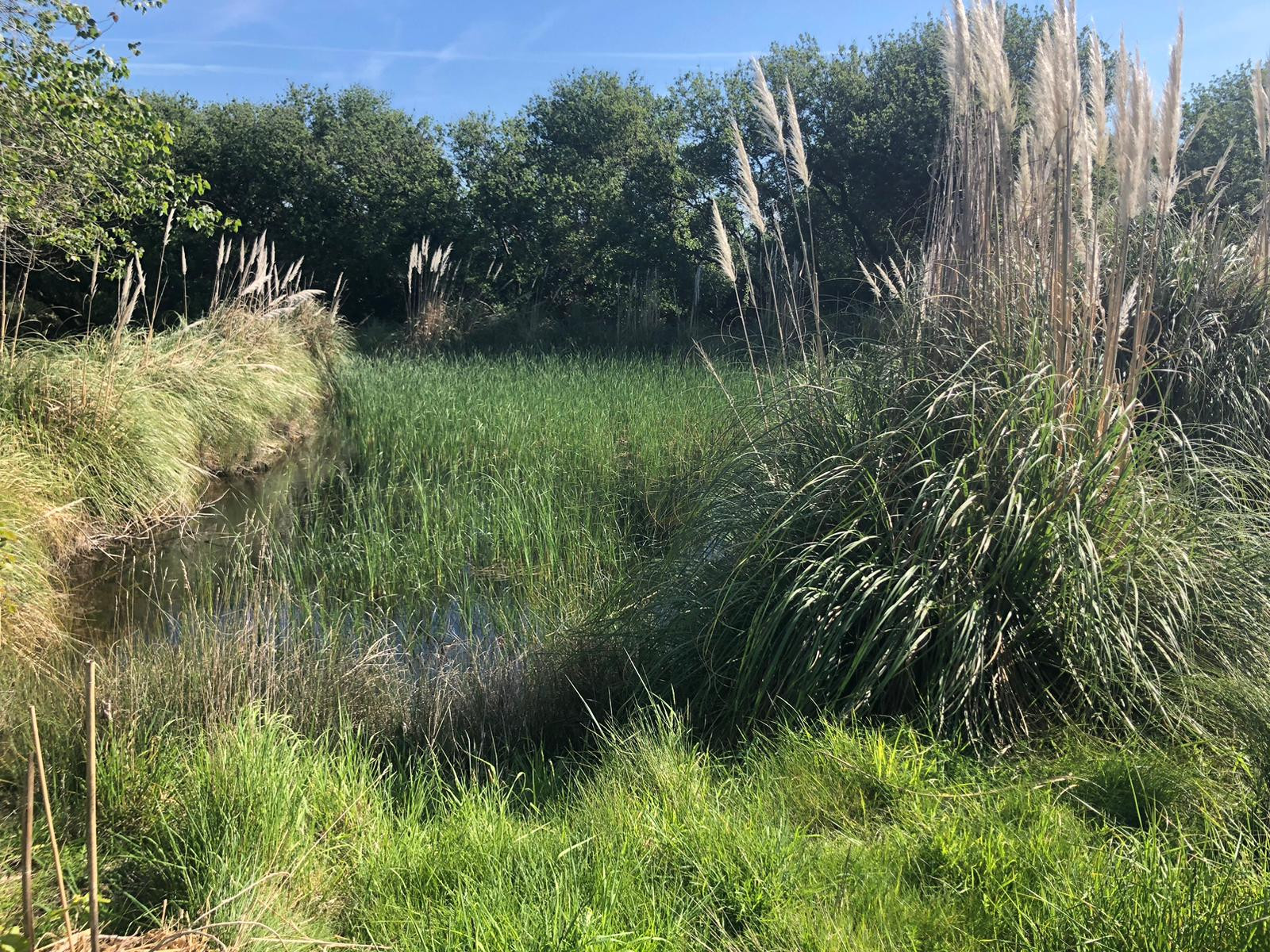 GreenGo Gîte Bretagne Entre amis