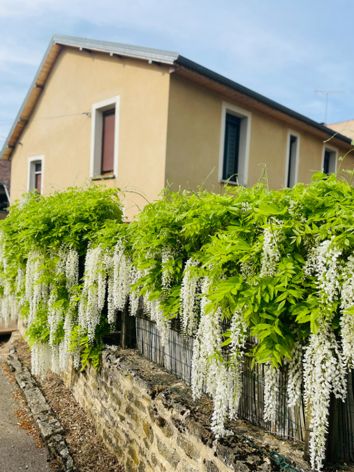 GreenGo Chambre d’hôtes Bourgogne-Franche-Comté À la campagne
