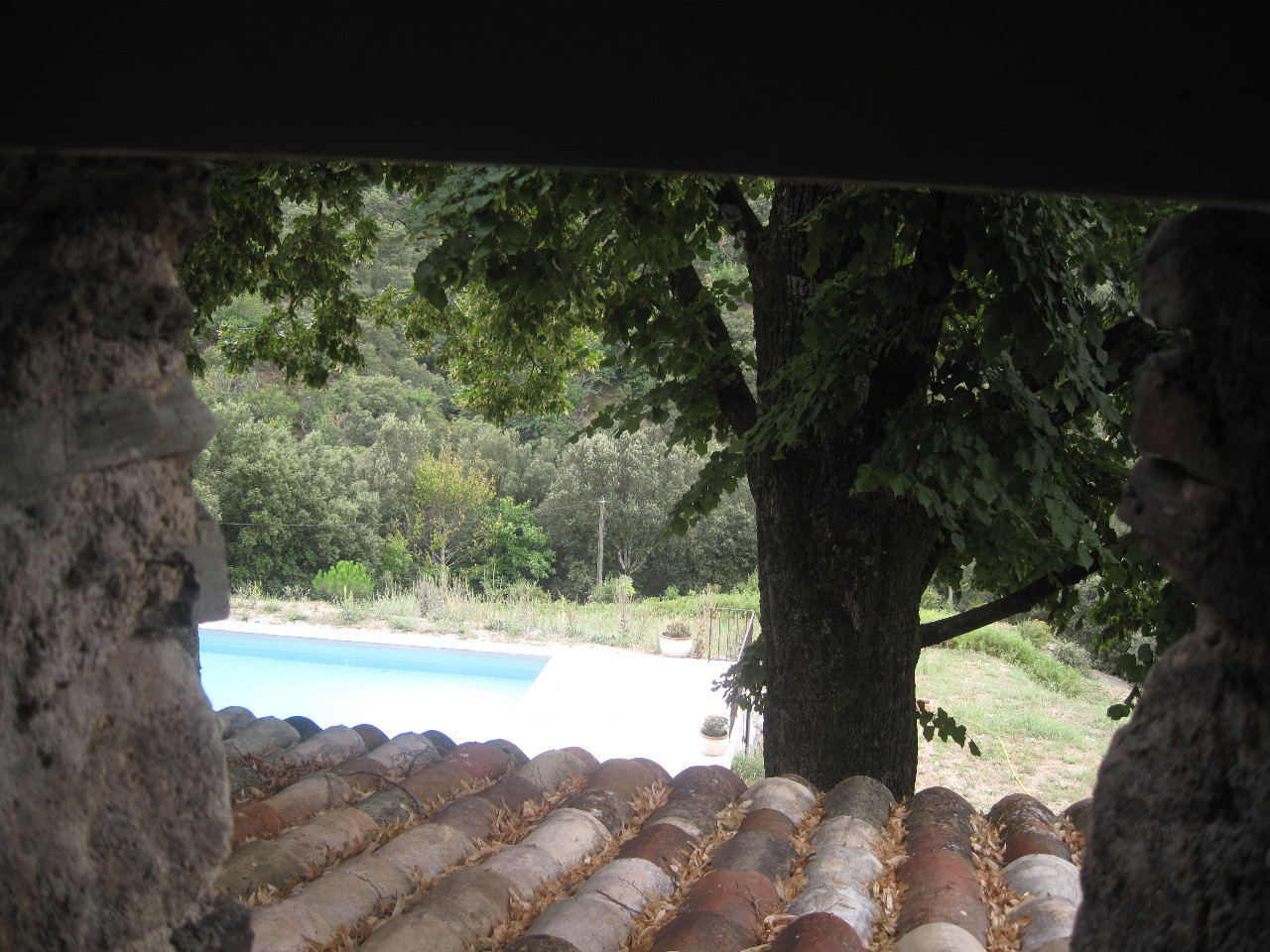 GreenGo location vacances écoresponsables
