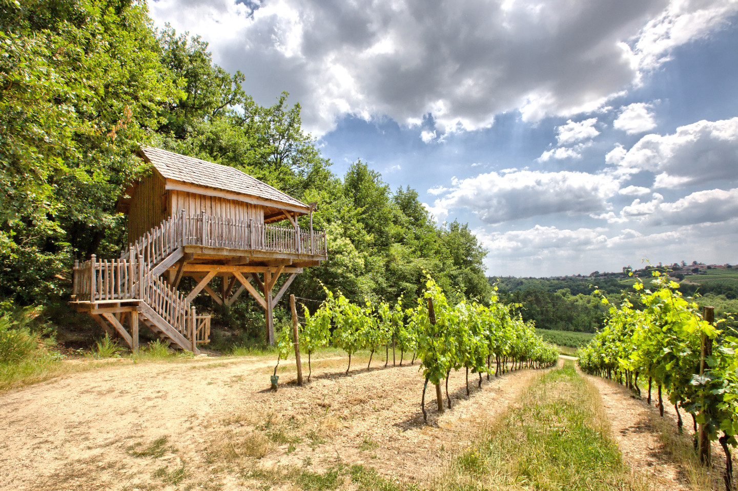 Gironde En forêt