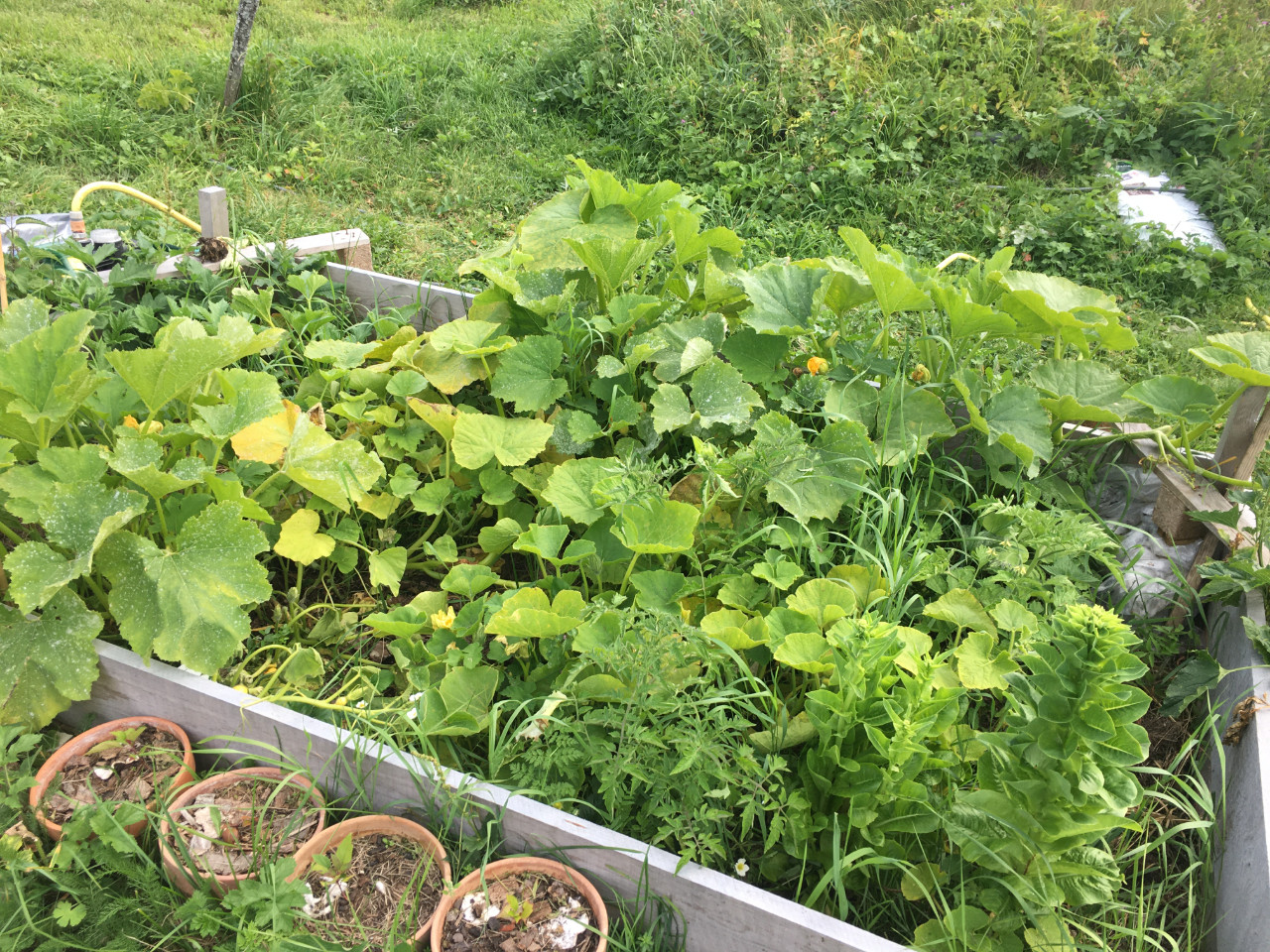GreenGo Gîte Bourgogne-Franche-Comté Évasion